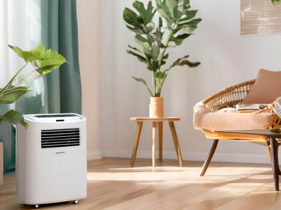 DM_20250814171843_001